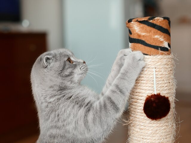    Фото: 123RF.com/serezniy