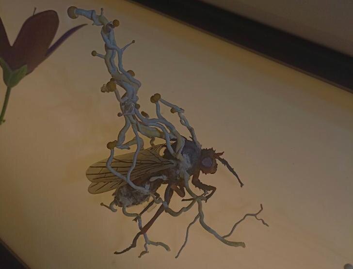    Фото: Пруфы.рф