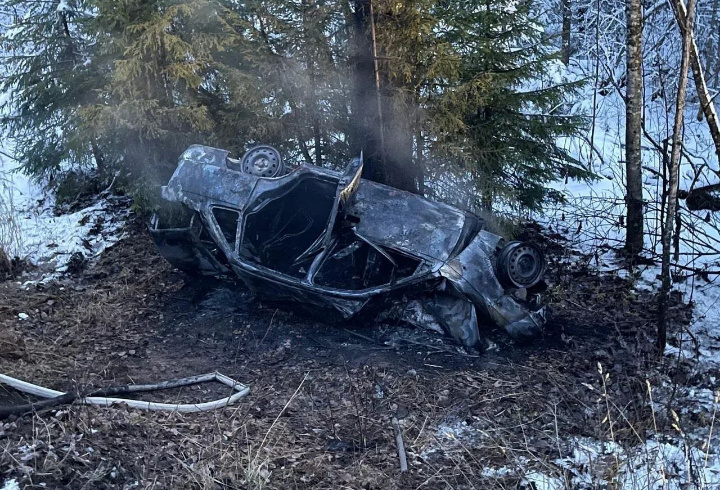 фото: Леноблпожспас