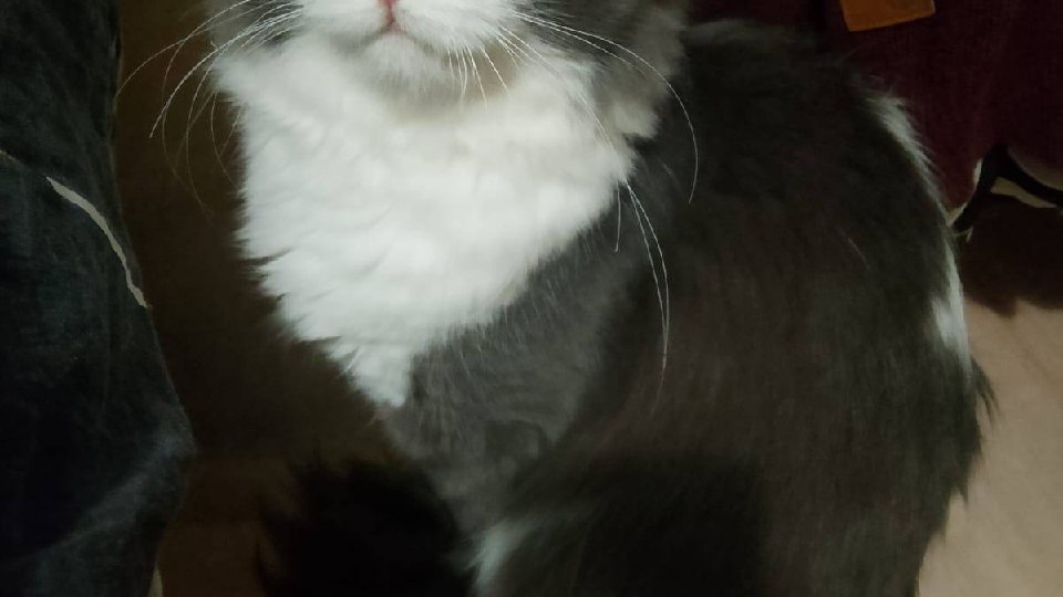 Друзья из Железногорска