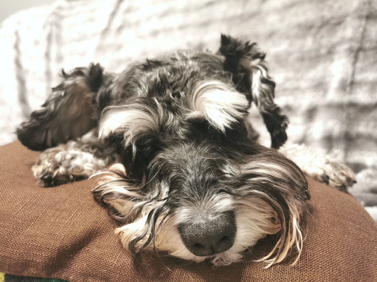 Это я очень грущу по этому поводу