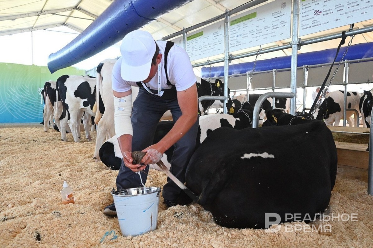   Максим Платонов / realnoevremya.ru