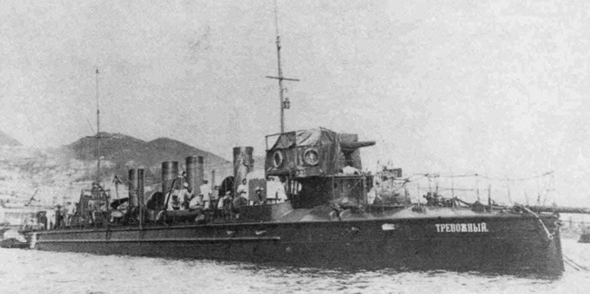 Эскадренный миноносец "Тревожный"
