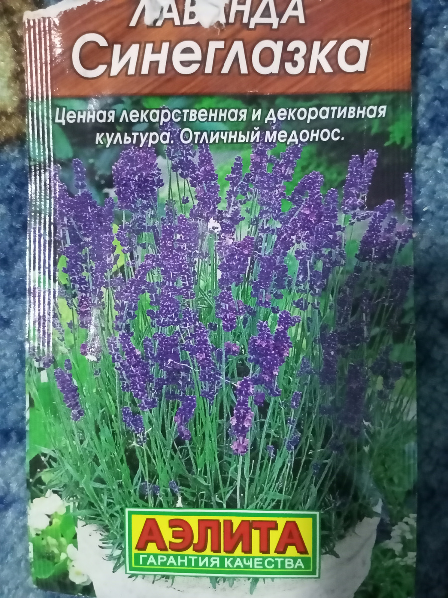 Семена Лаванды