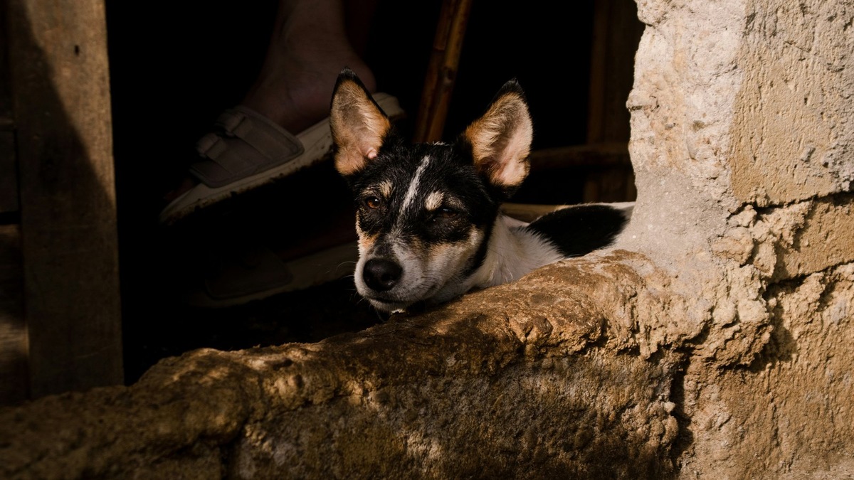    Главное преимущество центра — собственная лаборатория