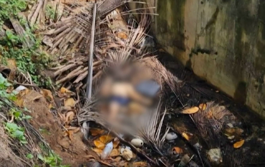 Фотография с места происшествия 