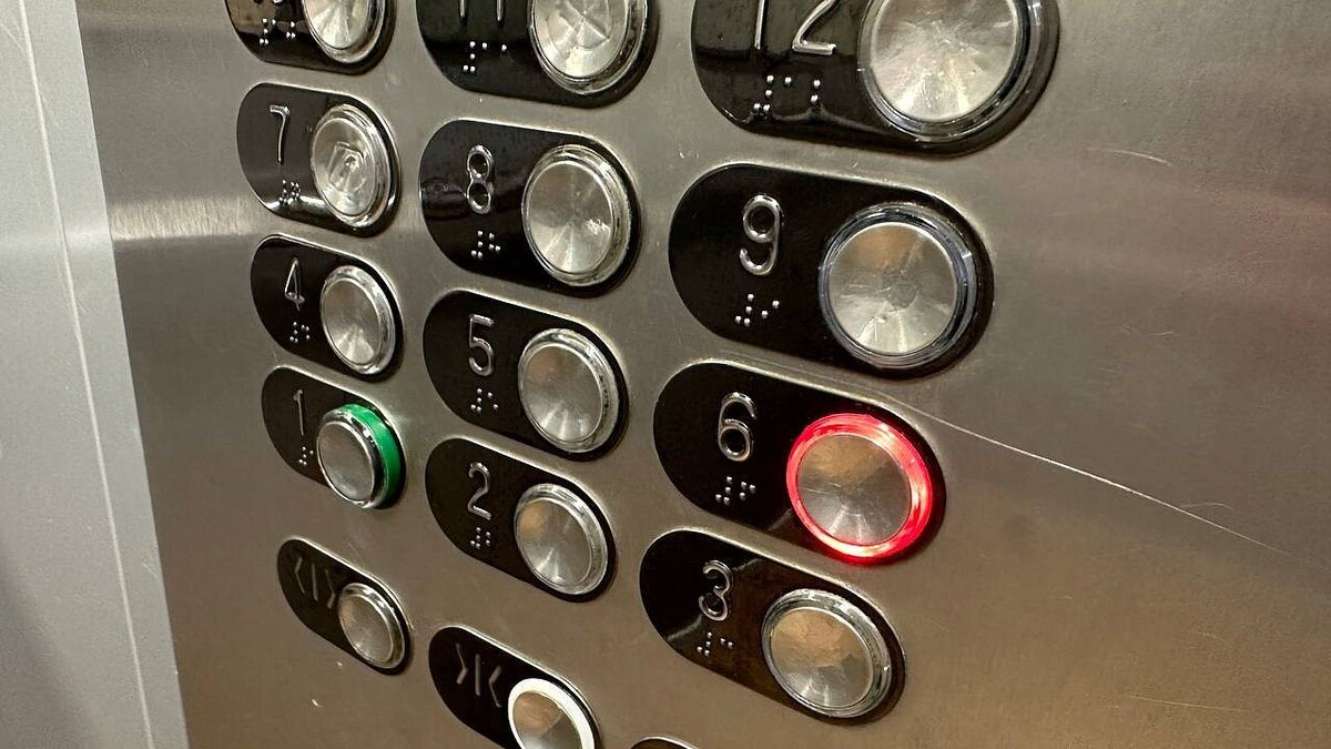    Фото: телеканал «Краснодар»