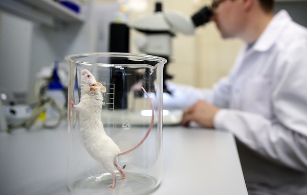 Валерий Шарифулин/ТАСС