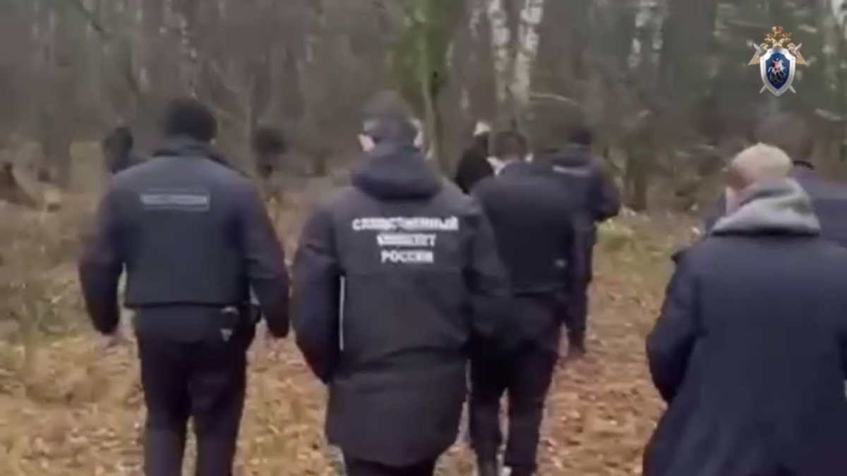    Фото: Скриншот видео / СК Подмосковья / Telegram