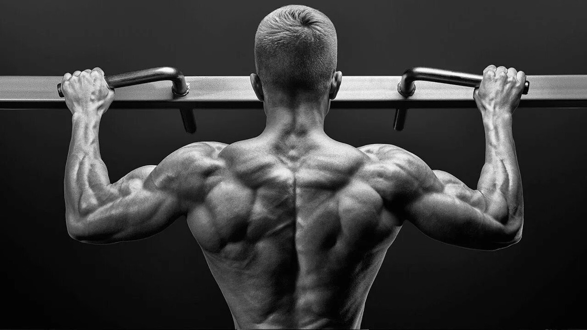 Все могут ты не хуже