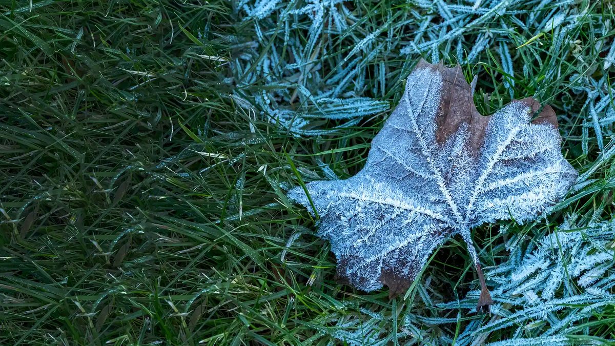 Источник: shutterstock.com