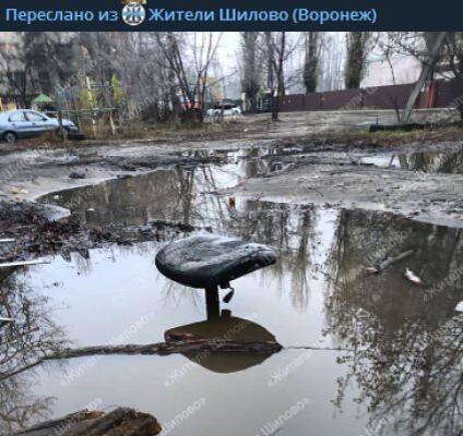    Фото: скриншот из видео