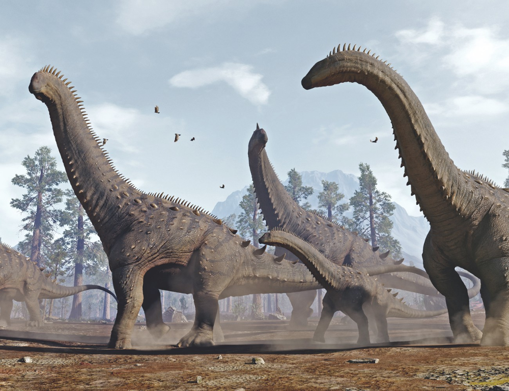 Аламозавр - один из последних зауроаод - длинношеих динозавров.