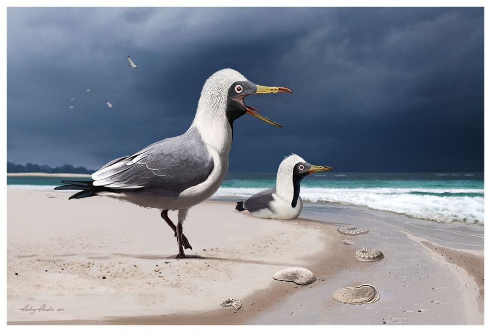 Ихтиорнис- древняя птичка, по образу жизни что-то вроде чайки.