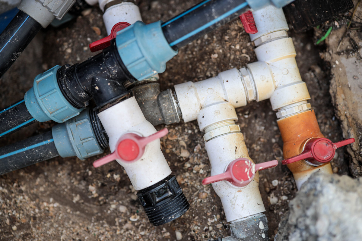    Фото: ТРК «Таврия»