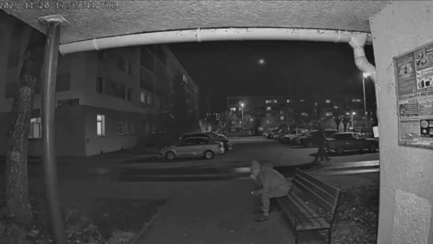    Фото: скриншот видео из соцсетей