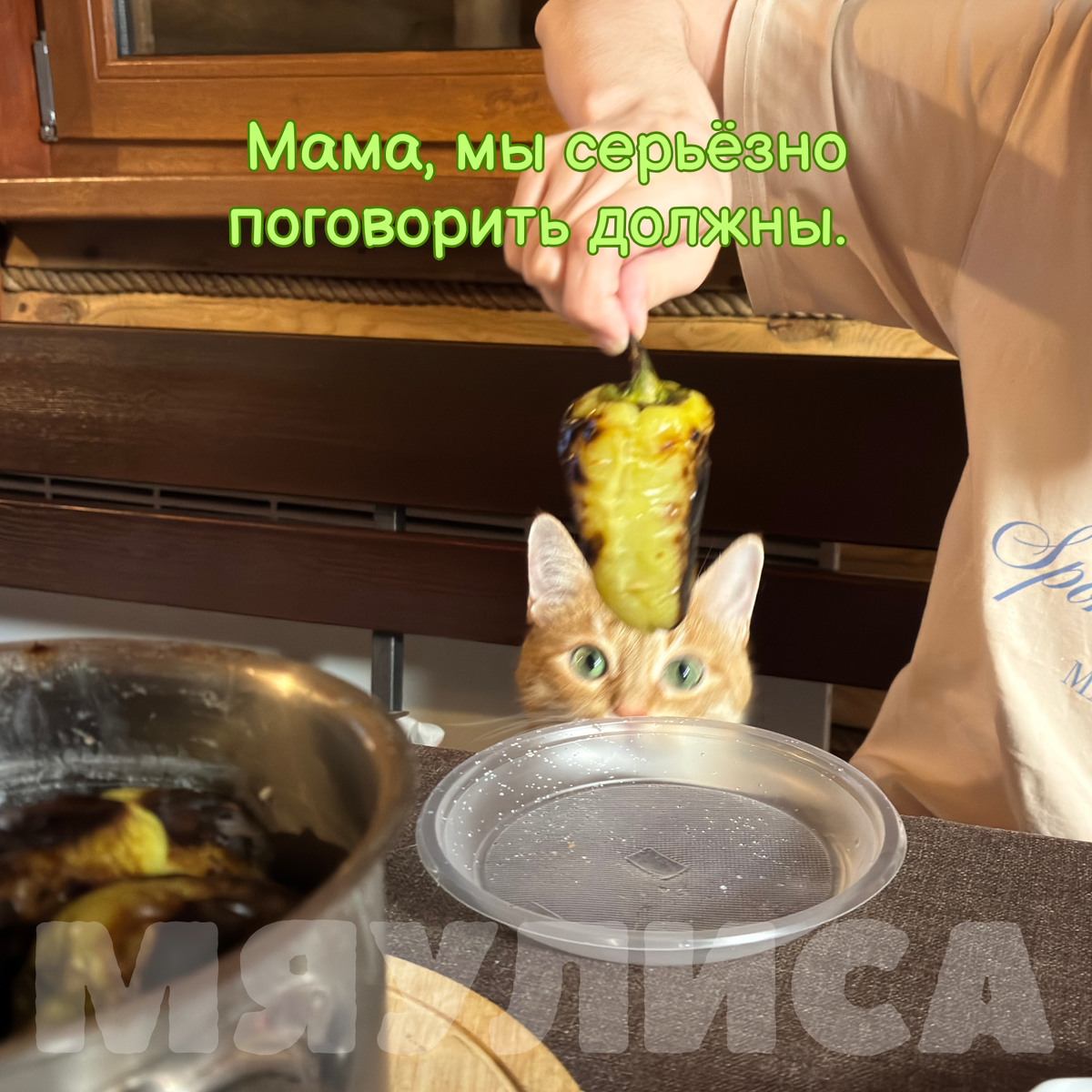 Василиса и перец. Проект "Мяулиса".