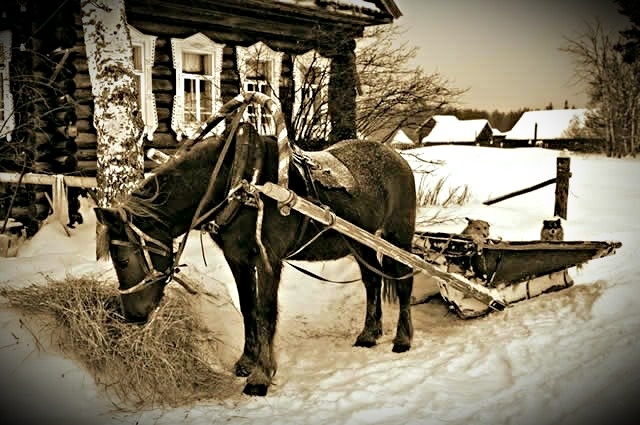 Почему 200 лет назад дальние поездки откладывали до зимы, а летом сидели дома