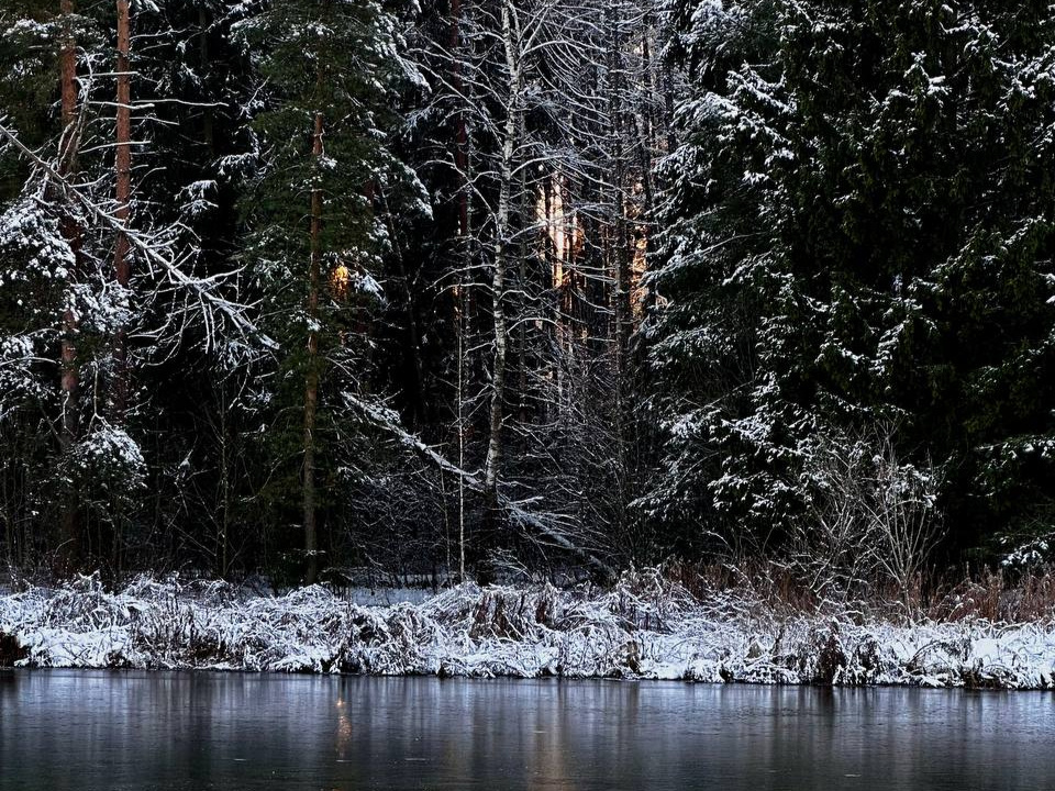 Фото: t.me/opereco