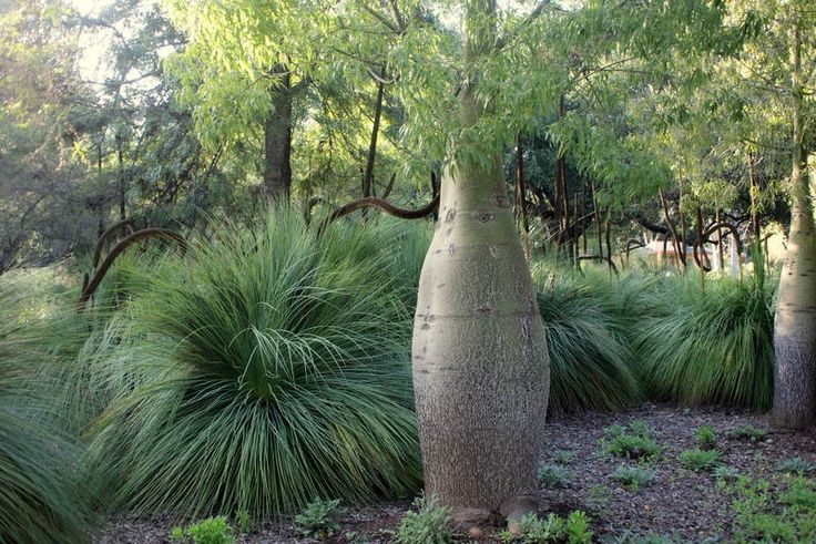 Фото взято из Интернета.