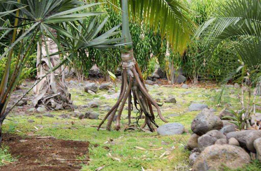 Фото взято из Интернета.