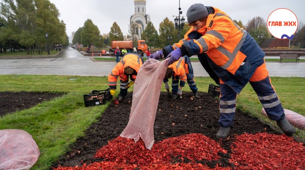 Зимняя подготовка городских цветников завершена в Москве
