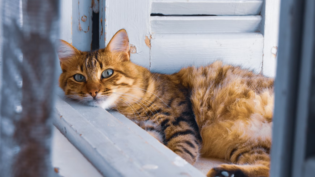    Для регистрации нужно иметь при себе набор документов