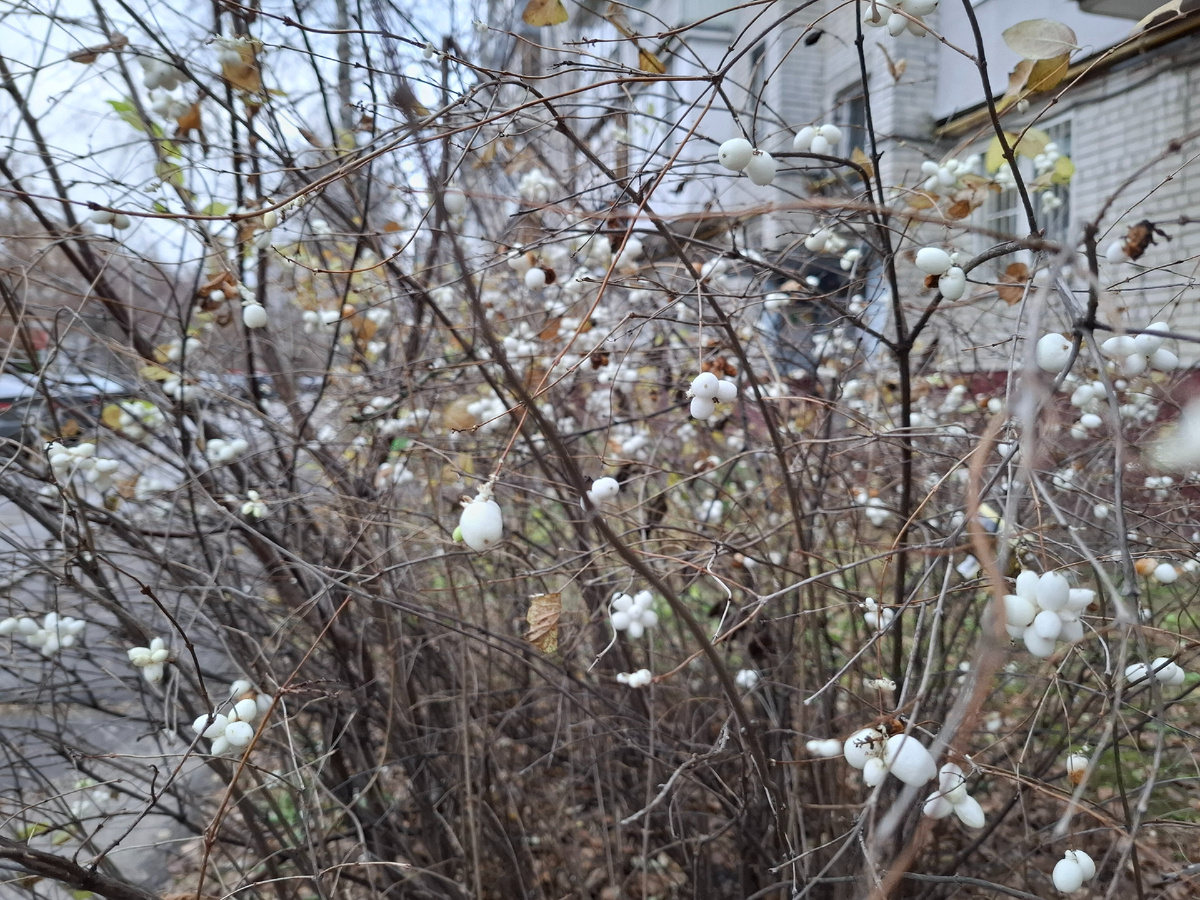 Такая осень 🍂 