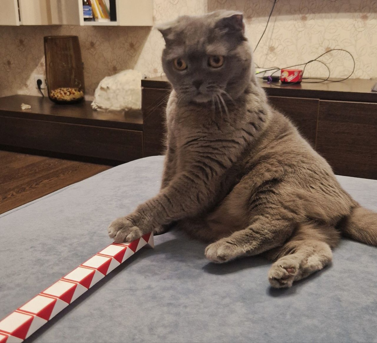 Через месяц мой взгляд будет таким же. "Уже всё?"