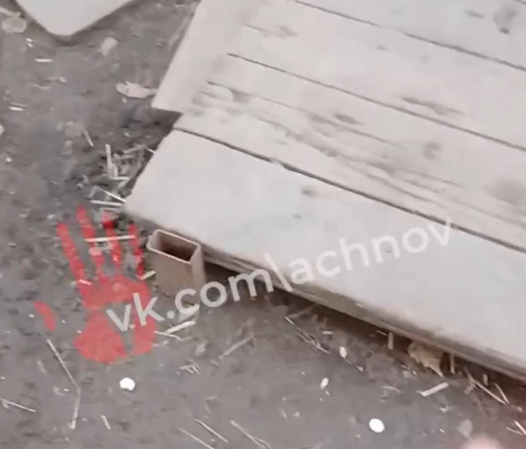 Кадр с видео хозяйки животного