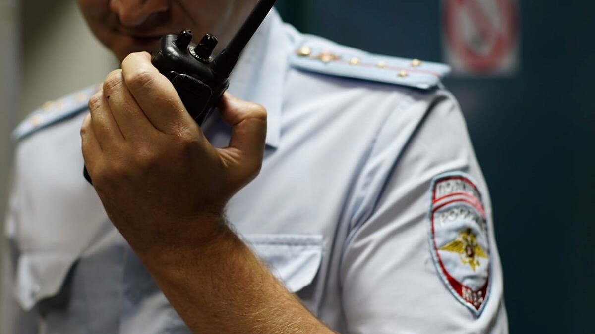    Фото: телеканал «Краснодар»