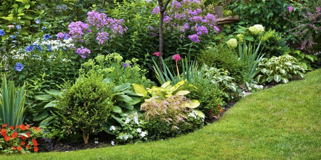 10 самых зимостойких многолетников для вашего сада 🌿❄️