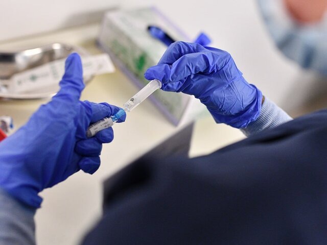    Фото: Москва 24/Юлия Иванко