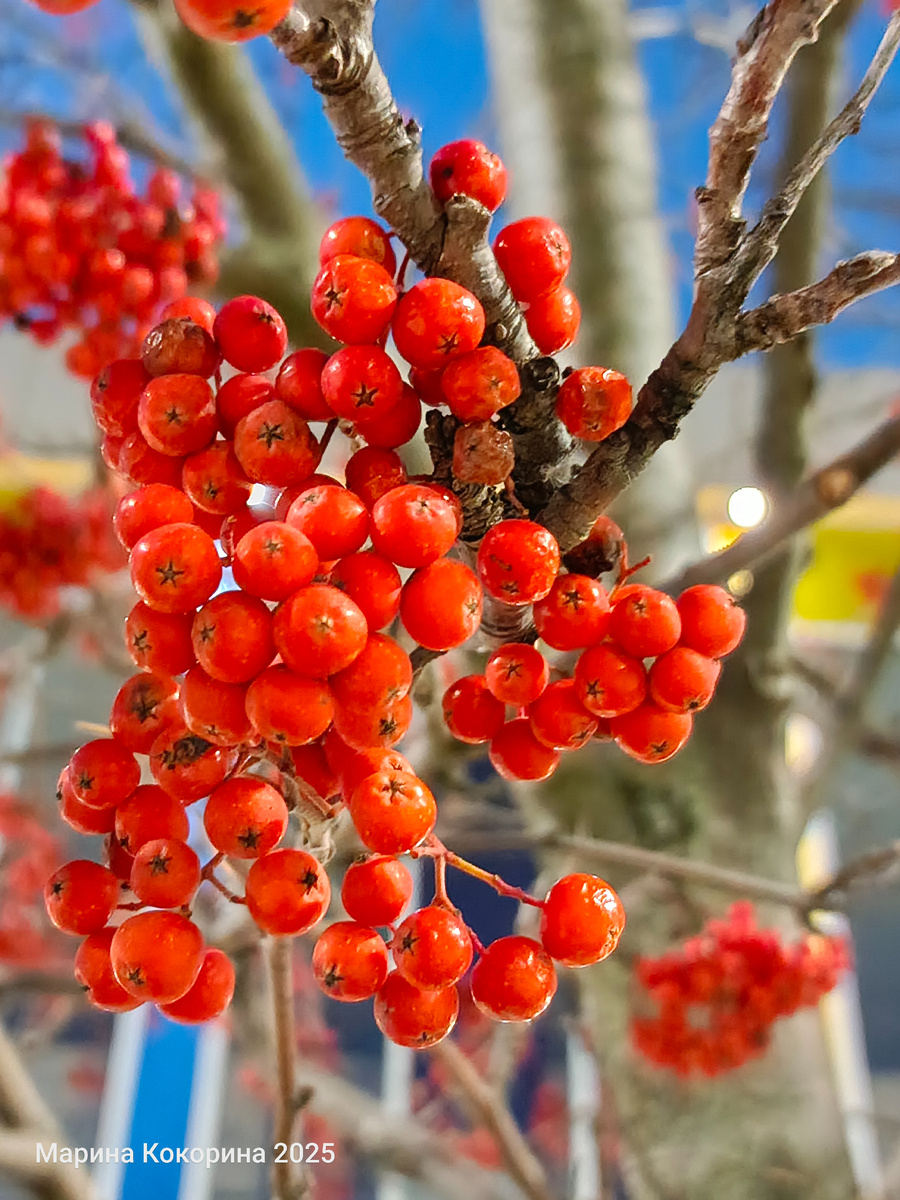 Ну как же не остановиться и не запечатлеть такую красоту!