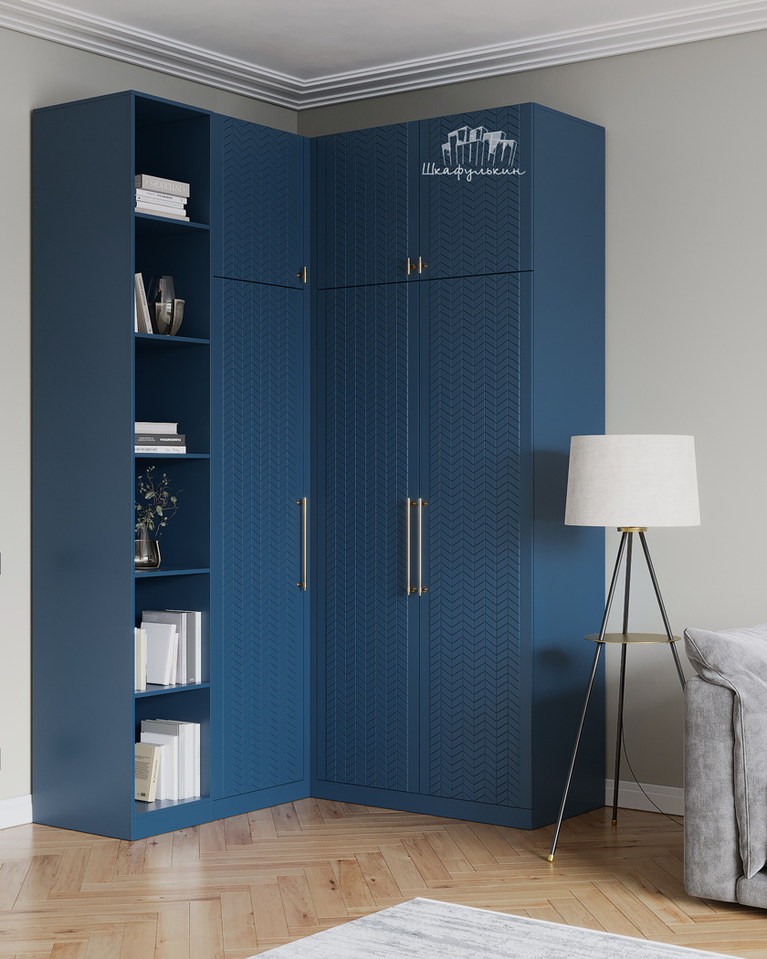 Шкафулькин 