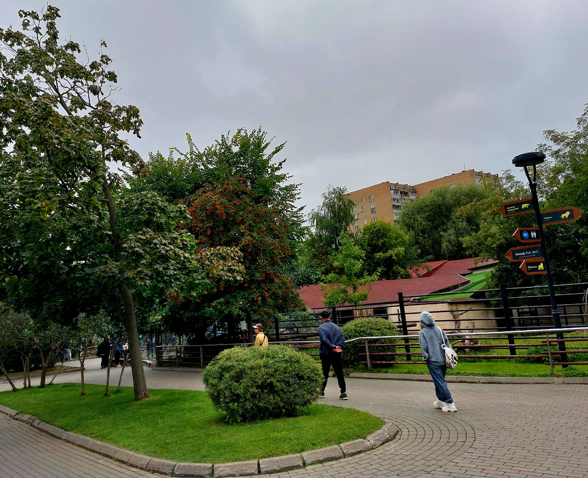 Московский зоопарк летом