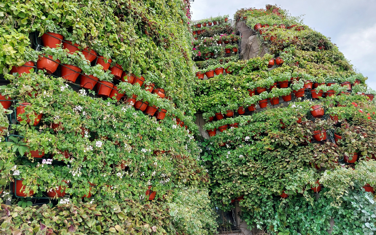 Московский зоопарк летом