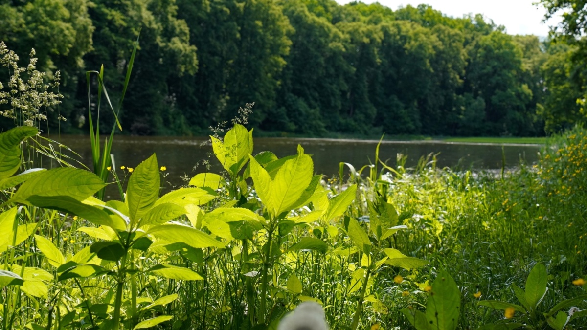 Светлана Мулыкина📷

