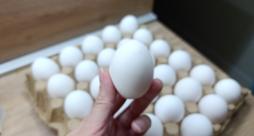    Почему нельзя опускать свежесваренные яйца в холодную воду - запомните раз и навсегда