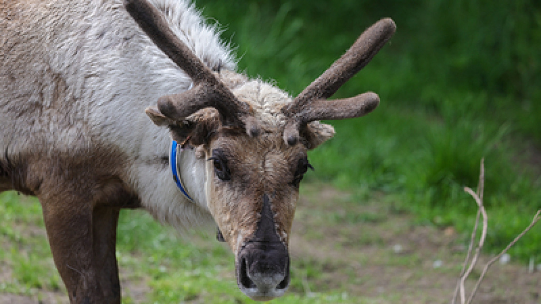    Фото; Shatokhina Natalia/news.ru/Globallookpress