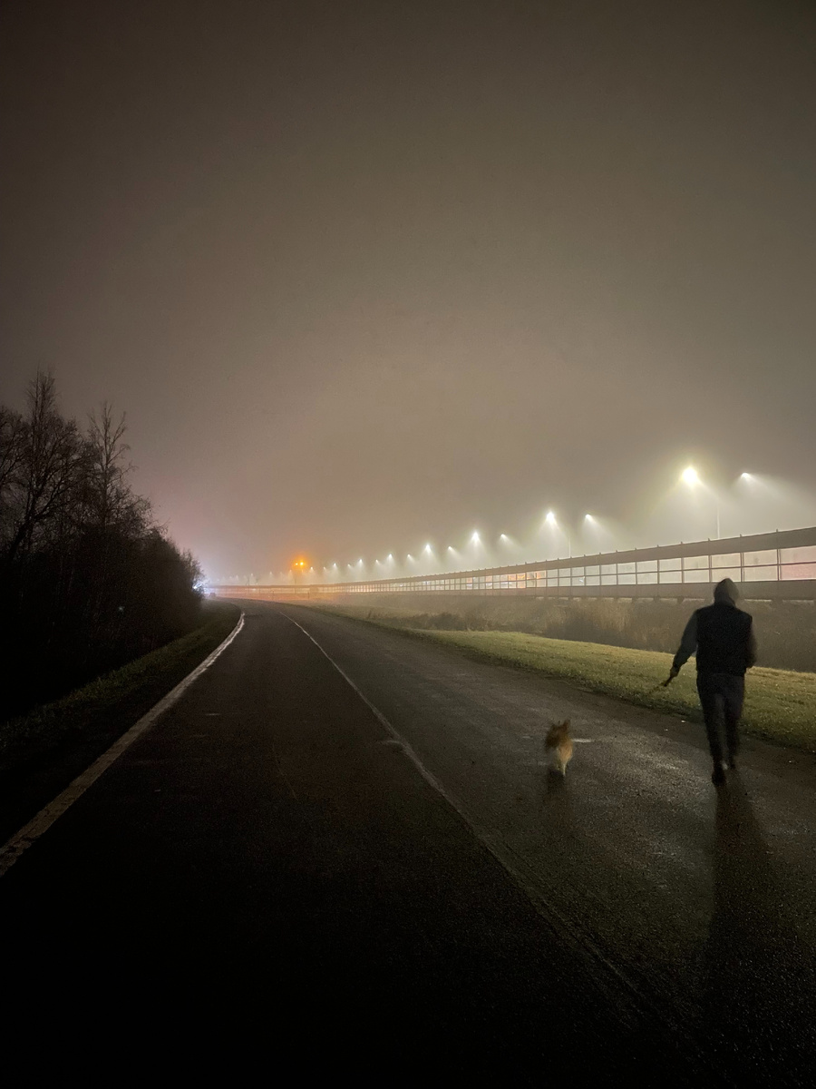 Ну прям картина из фильма ужасов