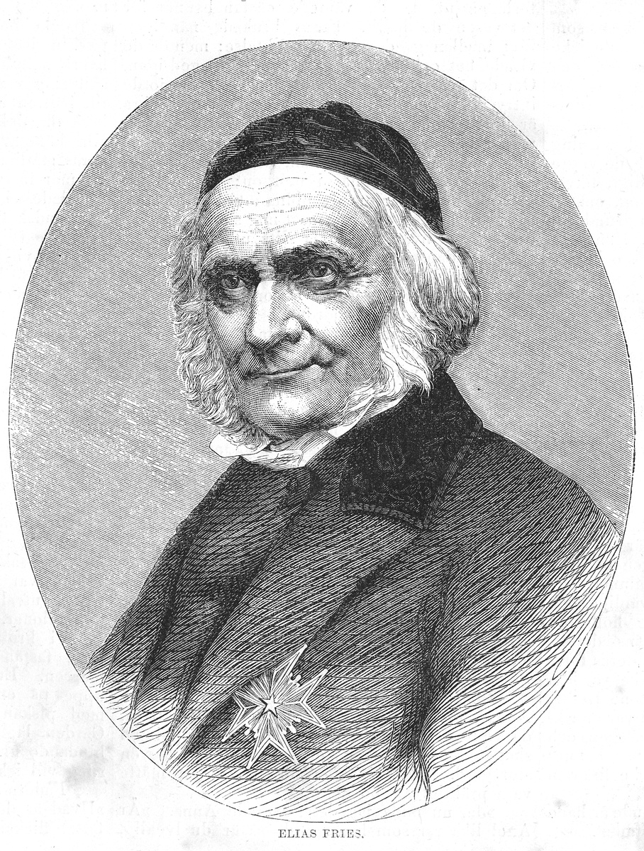 Элиас Магнус Фрис - человек, дававший имена первым грибам