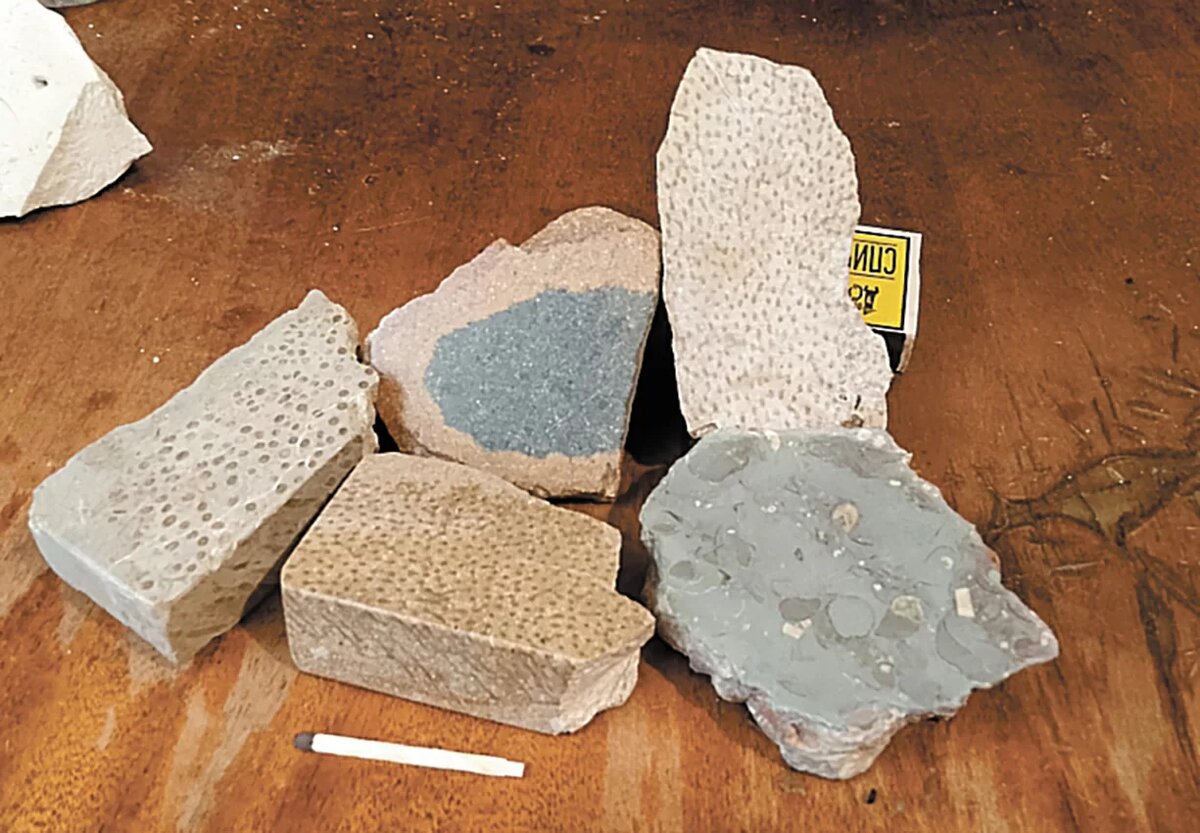 Приполированный известняк различных оттенков, некоторые образцы – со следами окаменевших кораллов