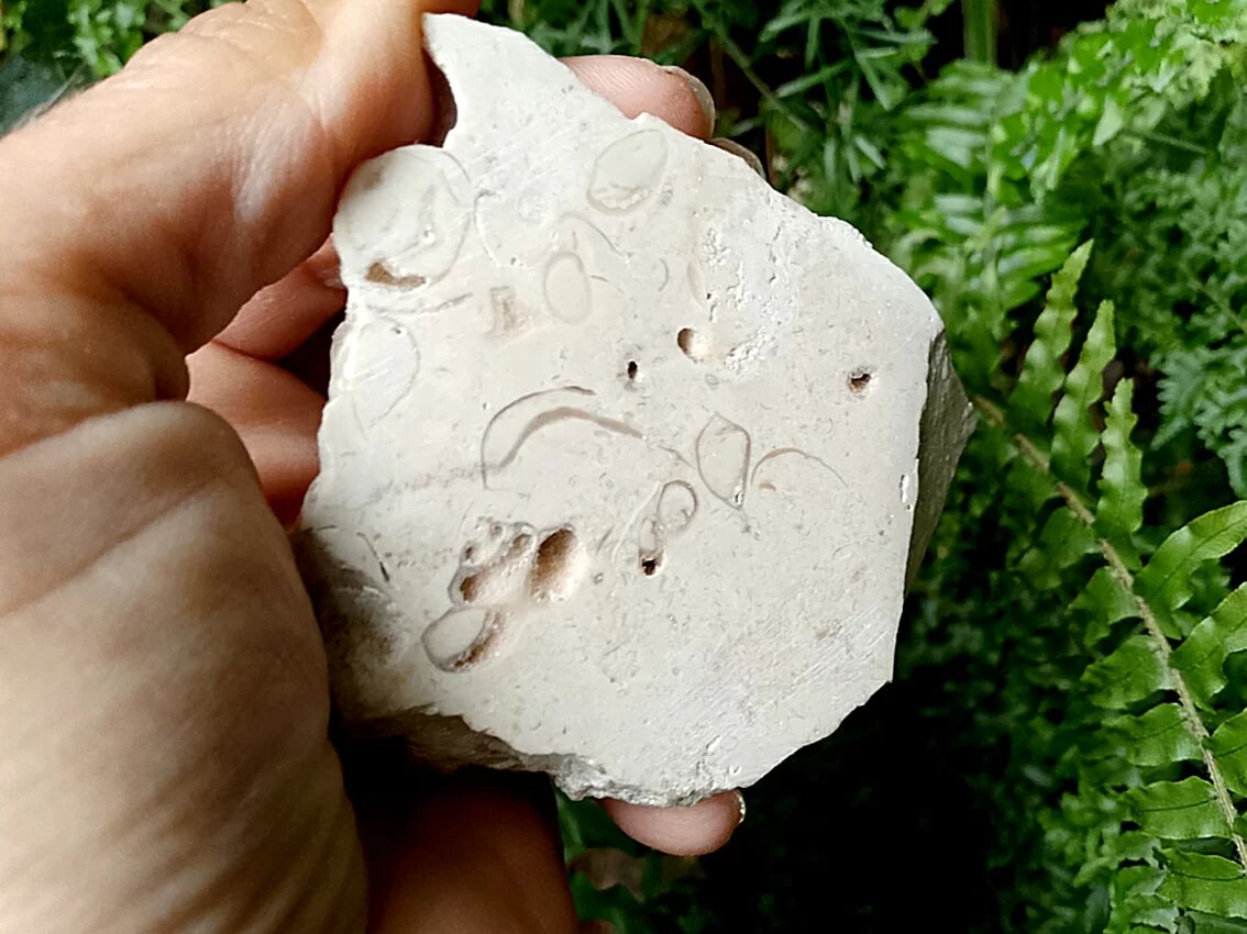 сахарный известняк