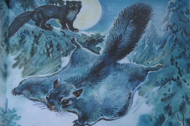 Иллюстрация к рассказу В.  Бианки 'Голубой зверек ". (ИЛЛЮСТРАЦИЯ ИЗ ИНТЕРНЕТА)