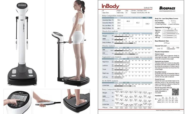 Изучение состава тела на аппарате InBody: что это такое и зачем нужно?