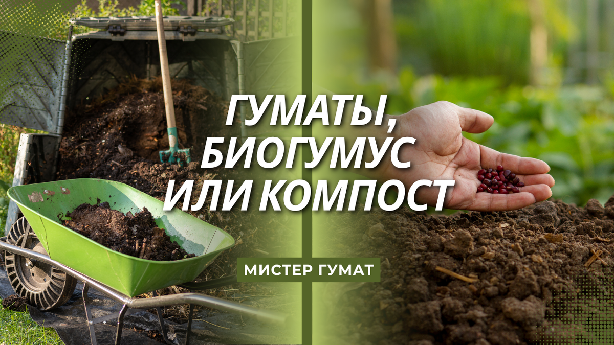 Сегодня на полках магазинов десятки органических удобрений: компост, биогумус, гуматы, настои трав и даже «биоактиваторы почвы».
 Каждый обещает «богатый урожай» и «оздоровление земли». Но чем они действительно отличаются друг от друга и что выбрать, если хочется результата без химии?
 Разбираем спокойно и по существу.