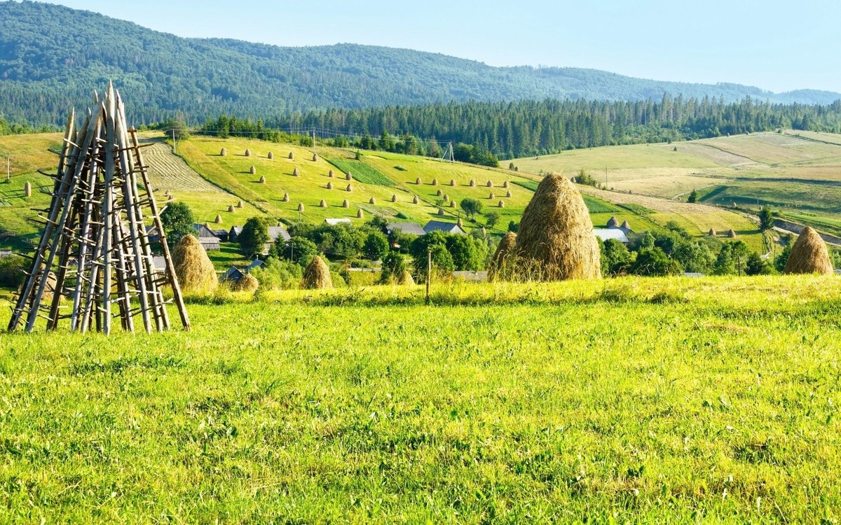Украинский пейзаж