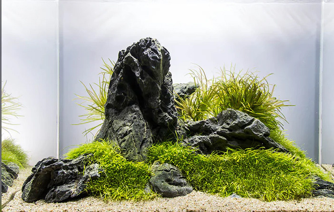 Раз, два, три, четыре, пять. Кстати, считается, что главный камнь это Будда. Фото из открытых источников.