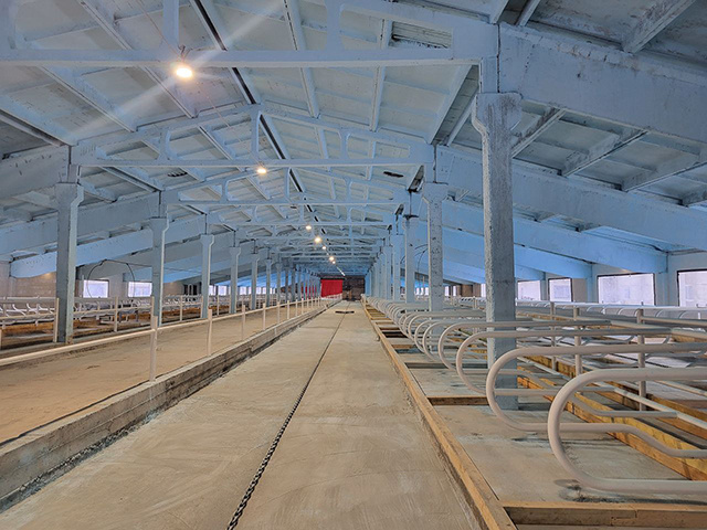 В Тверской области возродили еще один молочный комплекс. Вперед!